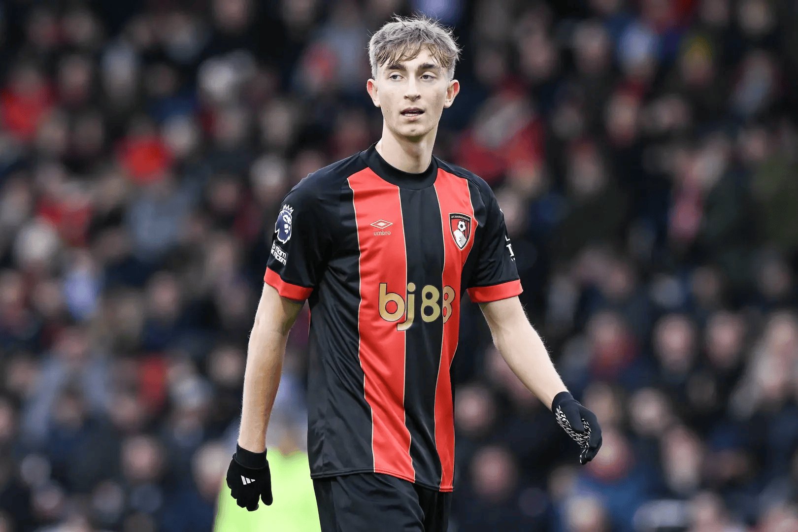 里程碑夜!托特纳姆防线松动;荷甲关键时刻刷纪录;赛场秩序良好;阵容厚度经受考验的简单介绍 里程碑夜!托特纳姆防线松动;荷甲关键时刻刷纪录;赛场秩序良好;阵容厚度经受考验的简单介绍